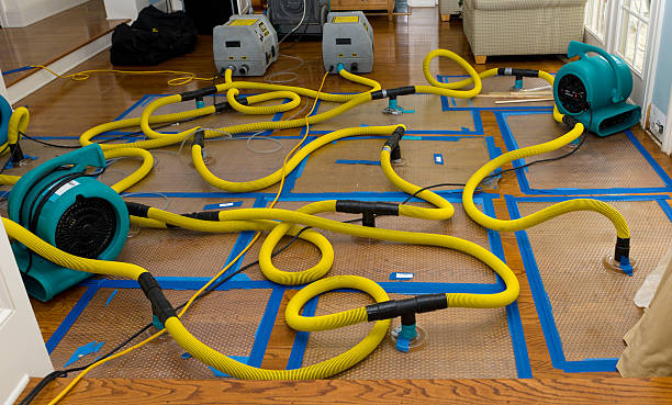 Professional Basement Flood Cleanup technician working in Baileys Harbor, WI